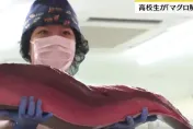 氣勢十足！日本女高中生鮪魚解體秀　手法專業不輸男師傅