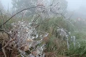 影/直擊！太平山莊-4°C 飄霧淞　夢幻雪白世界畫面曝