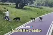 影/逛公園遇4惡犬！江西母拼死護幼女　慘遭撕咬見骨