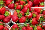 草莓新發現！每天攝取32克可預防糖尿病、心血管疾病