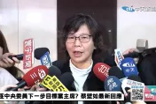 談民眾黨主席人選　蔡壁如：僅靠一個人無法救黨