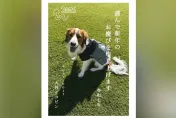 大谷翔平發賀年卡！愛犬賣萌吐舌頭　郵遞區號「017-0017」