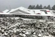 影/今年第一場瑞雪！嘉明湖步道積雪3公分　持續一小時