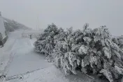 影/無懸念！玉山又下雪　厚厚積雪銀白世界超美麗