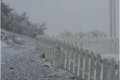 影/零下5度！玉山北峰全白了　雪花紛飛美景曝光