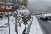 影/武陵農場「雪覆枝頭」超夢幻　台7甲線部分路段需加雪鏈