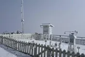 影/玉山降雪了！積雪1公分　銀白美景夢幻登場