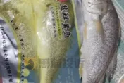 影/別眨眼！黃花魚抽出袋「竟變灰色」　陸男控店家騙人