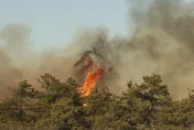 紐約長島爆發野火！部分地區進入緊急狀態　30消防隊灌救中