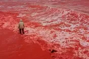 海水染成鮮紅！伊朗海岸驚現「血雨」奇景　震撼畫面曝