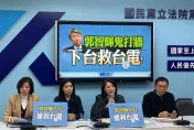 藍嗆郭智輝下台！要求台積電先進製程留台灣規定明確化