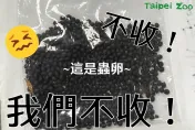 北市動物園突收惡意郵件「塞滿詭異黑籽」　竟是竹節蟲卵