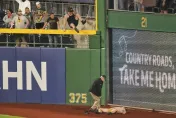 MLB/球迷突從6.4公尺看台墜落！比賽中斷　球員們跪地祈禱