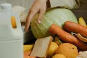 日本菜農稱「高麗菜不用每片清洗」　內行人示警：台灣不一樣