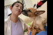 米可白愛犬胃癌！遇路人厭惡喊「都沒有肉」　理智線爆炸