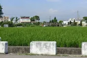 東北風增強！5縣市強風特報亮黃燈　小心8級以上陣風