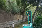 登台中大坑步道「喘不過氣」　7旬翁倒地命危搶救無效