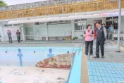 青鳥崩潰了？　網酸張善政蓋社宅要炒房反遭圍剿