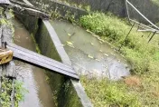 金山釣客陳屍排水溝　家屬懷疑「他殺」檢警查出真相