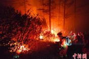 影/乾旱釀災！內蒙古森林大火「多點集中爆發」　動員5千名消防員撲救