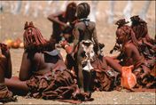 巴布亞紐幾內亞驚傳「部落衝突大屠殺」　至少64死屍體四散