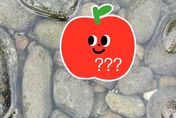 金山中角灣水中撿到「一片蘋果」！　相似度超高...網驚呼：快收藏