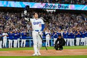大谷翔平50轟紀念球開賣！2小時飆破60萬美元　還剩18天快搶
