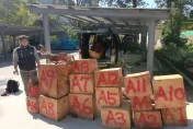 冷氣團裡抓到你！台中保七警忍低溫　林地活逮3隻山老鼠