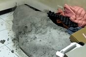 新莊駭人水泥封屍案！凶宅半價550萬賣出　鄰居住7年都沒事