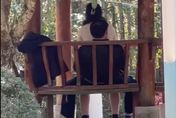 影/天熱公園消火！光天化日驚見「女上男下」涼亭激戰