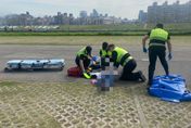 魂斷微風運河邊！新北老翁餵鴿昏倒亡　半小時才被發現