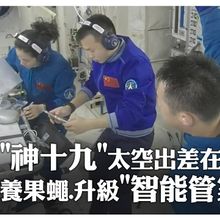 "神舟十九號"最新Vlog!「太空出差」47天都在忙什麼？ 3太空人完成果蠅轉移收集~"智能管家"再升級｜大陸360°