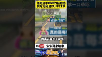 台南街頭上演「羊咩咩大暴走」!20多隻羊公然霸佔車道吃草 網友笑翻:到底誰放的啦!【#朱朱哥來聊車】@中天車享家CtiCar #抖音 #shorts