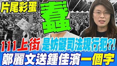 《片尾彩蛋》111上街抗議 是妨礙司法現行犯?! 鄭麗文送鍾佳濱一個字"蠢"