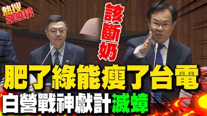 綠能弊案辦不了台電成黑洞 張啓楷直言該"斷奶"消滅綠能蟑螂｜熱搜發燒榜