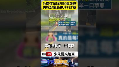 台南街頭上演「羊咩咩大暴走」!20多隻羊公然霸佔車道吃草 網友笑翻:到底誰放的啦!【#朱朱哥來聊車】@中天車享家CtiCar #抖音 #shorts