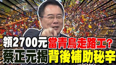 嗦一口紅酒燉牛肉 領2700當青鳥走路工? 蔡正元揭背後補助秘辛 都是納稅錢?