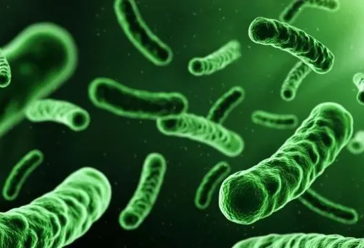 腸病毒「伊科病毒11型」專挑嫩嬰！醫示警：症狀不明顯