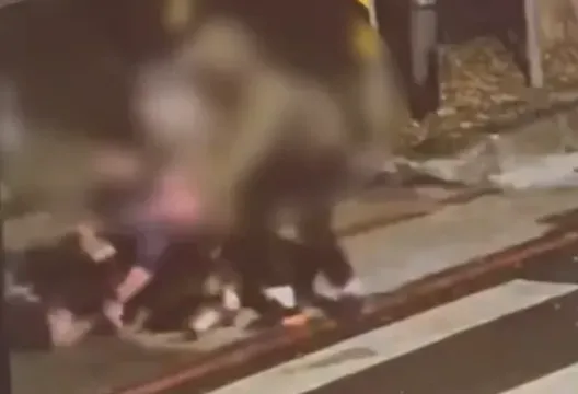 影/不止比特犬！北市羅威納「狂襲小黑」又咬人　恐怖畫面曝光