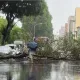 不敵豪雨轟炸！台中北區2棵路樹倒塌道路癱　公車繞道行駛
