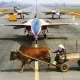 搭上IDF首飛35周年時光機　打賭牛車跨越跑道照片是否為合成