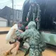 凱米颱風重創南部　第8軍團積極協助救災