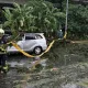 休旅車行駛中慘遭壓爆！土城午後大雷雨路樹倒塌 　車內2傷者送醫無礙