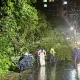 快訊/北部風雨持續淡水路樹倒塌　3女騎士遭砸中受困輕傷送醫