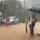 豪雨沖破魚塭！鱘龍魚萬里路上漂流隨人撿　業者心碎：損失破500萬