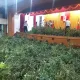 影/台灣最巨大麻植株案！新竹市警搗千坪「無塵室農場」成品價值達20億