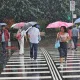 輕颱潭美外圍環流襲！大雨炸成「紫番薯」　新颱風最快10/25誕生