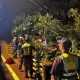 影/遊阿里山開車失控！4人疑路況不熟墜10米山谷　嘉義消防派吊掛救出