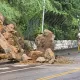 雨連下1個月！汐止康寧街「巨石崩落」　畫面超駭人