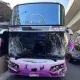 新北嚴重車禍！遊覽車追撞4轎車2人傷　疑陽光刺眼釀禍